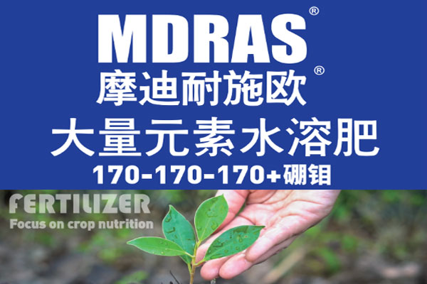 大量元素水溶肥料